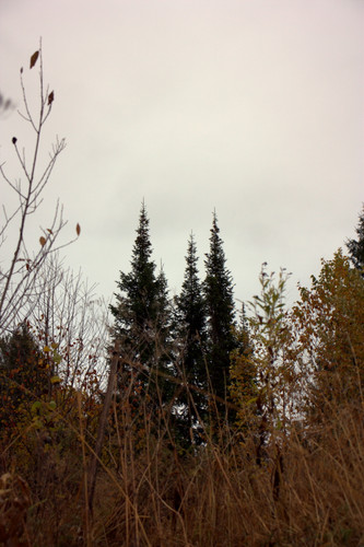 IMG 2602.jpg