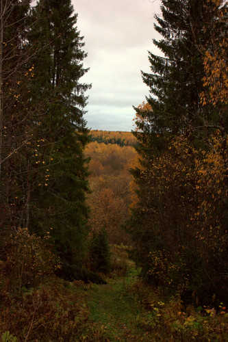IMG 2615.jpg