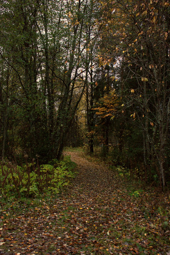 IMG 2592.jpg