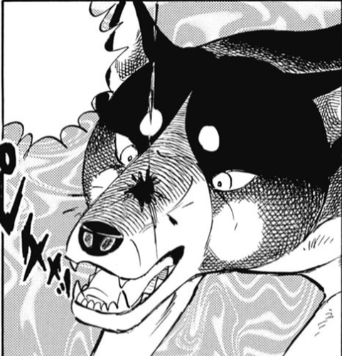 2024 10 06 0kt Kleki (1)