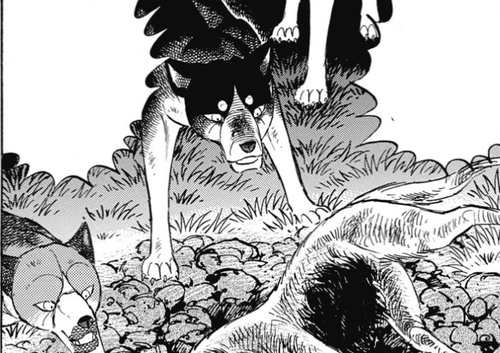 2024 10 06 0kv Kleki