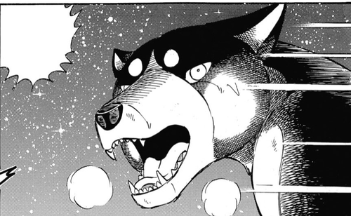 2024 10 06 0ks Kleki