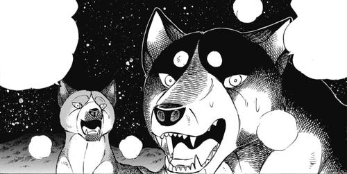 2024 10 06 0ks Kleki (1)