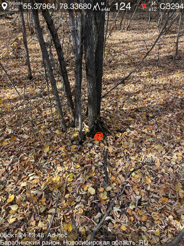 ima 9a941d0.jpg