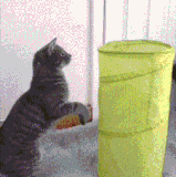 精准，优雅，完美.gif