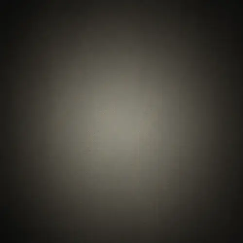 602870949481088211480581856109229.webp