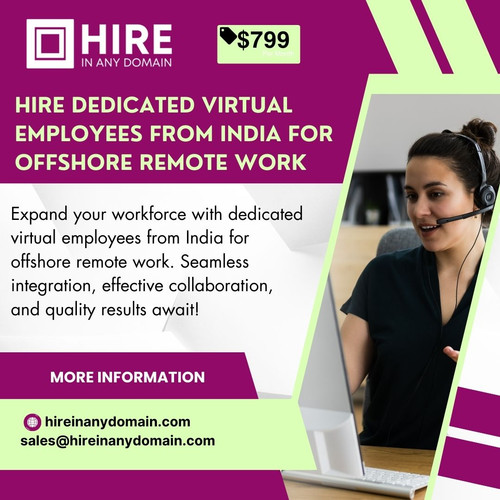Hire Dedicated Virtual Employees from India for Offshore Remote Work.jpg