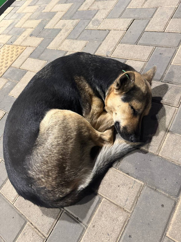 1728247732 1590444740.jpg