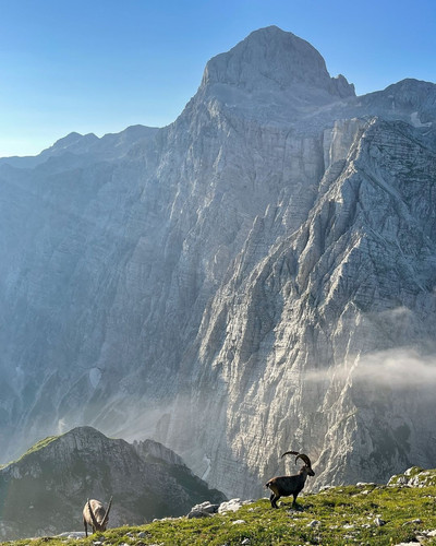 TIGHTSHORTS assrt180Daniela Celigoj JULIANALPS slovenia