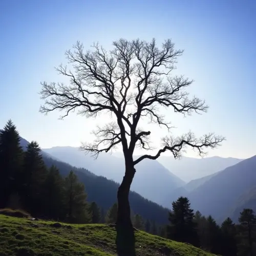 98188713209895377313395303932975.webp