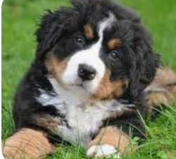 1728192305 2003917296.jpg