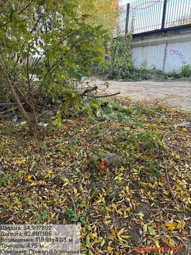 ima a030940.jpg