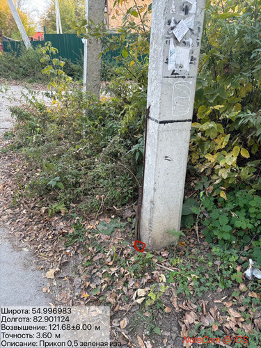 ima a9c5859.jpg