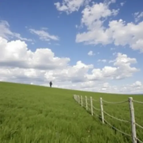 09701807262884077021344176004653992.webp