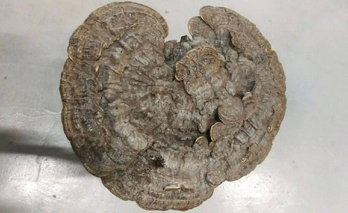 VwvS9MeWAjiZ0Vuz KuwpElGo60p26FhCMNjitheXHrOtpRWK6BSnNhn wLF8fN3GXjELhdwSt6A01G9DXuNMhTfN CYcaVzLw9G.jpg