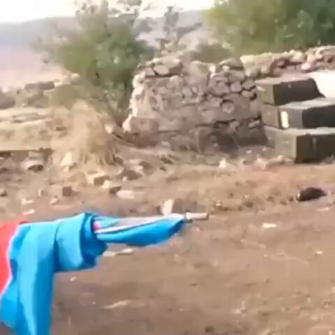 gYxVI NIIyZHDNZs.jpg