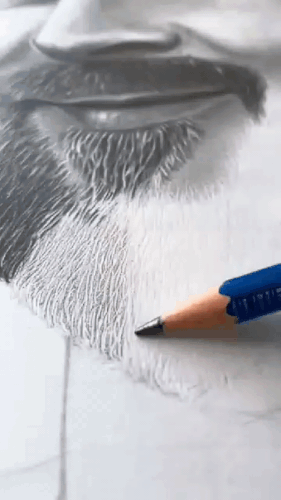VID 20241005 WA 1728132198107.gif