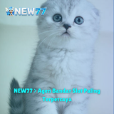 NEW77 Agen Bandar Slot Paling Terpercaya.png