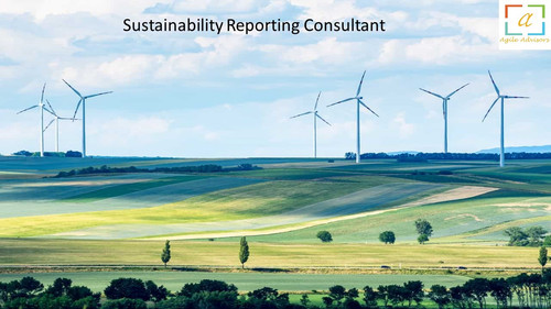 Sustainability Reporting Consultant 3.jpg