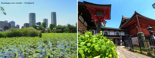 tokyo5.jpg