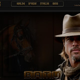 Bay Radyo Tema 245 BATU