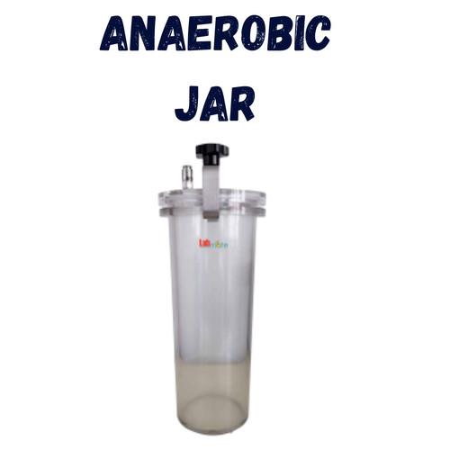 Anaerobic Jar (1).jpg