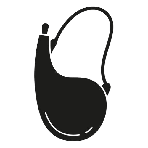 istockphoto 2004822319 612x612.png