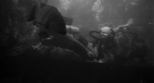 cap Attack.of.The.Crab.Monsters.1957.576p.BluRay.AAC.x264 00 15 29 04.png
