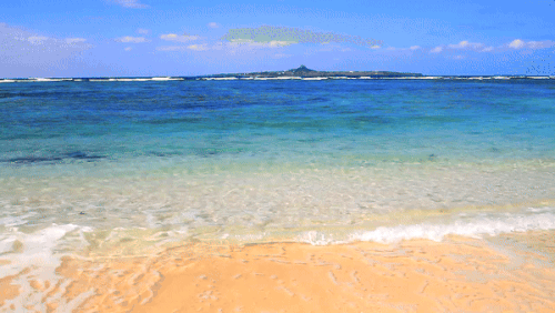 tumblr 43bbf75145b685f40d320337391d2771 c5b5936c 640.gif