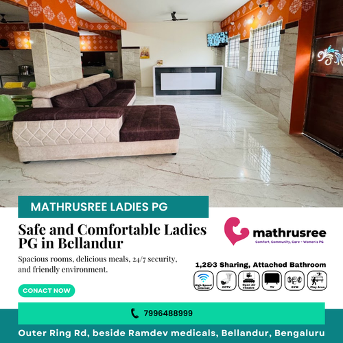 Safe and Comfortable Ladies PG in Bellandur.png