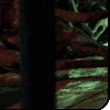 oie gUuTsZ0wqkJV.gif