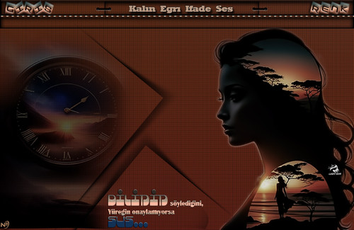 Lady Nur Yüreğin onaylamıyorsa.jpg