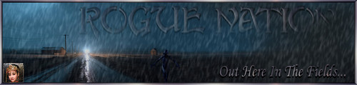 RainyRD Banner.jpg