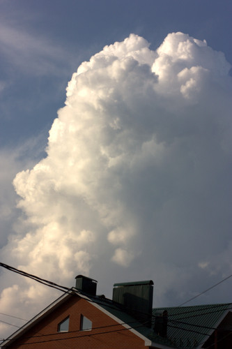 IMG 2337.jpg