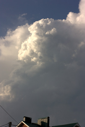 IMG 2346.jpg