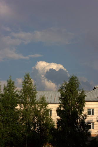 IMG 2345.jpg
