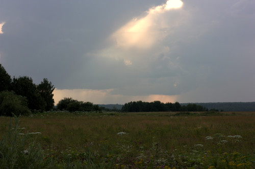 IMG 2352.jpg