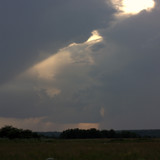 IMG 2355
