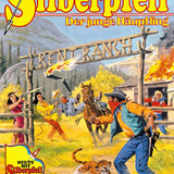 Silberpfeil 478