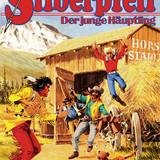 Silberpfeil 473