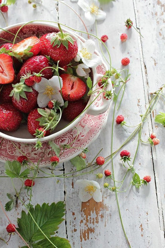 258534834855359966 1.jpg