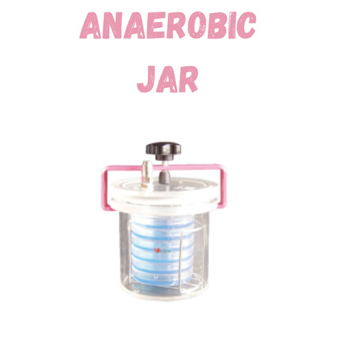 Anaerobic Jar (2).jpg