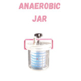 Anaerobic Jar (2)