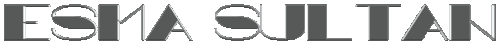 10.gif