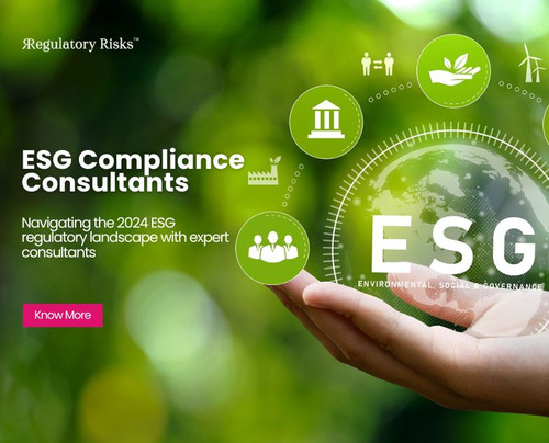 Navigating the 2024 ESG Regulatory Landscape with Expert Consultants.jpg