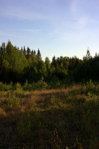 IMG 2386.jpg