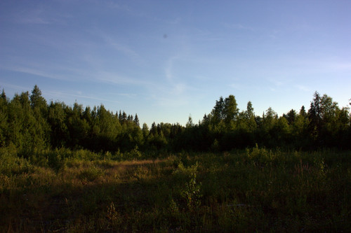 IMG 2389.jpg