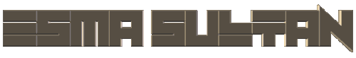 4.gif