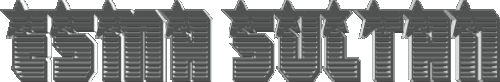 11.gif