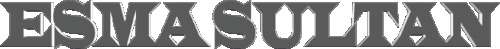 4.gif